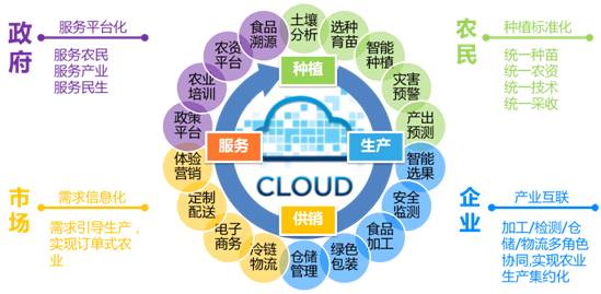 融合創新，智慧賦能 遠光移動互聯如何以信息技術咨詢服務驅動“互聯網+農業”落地