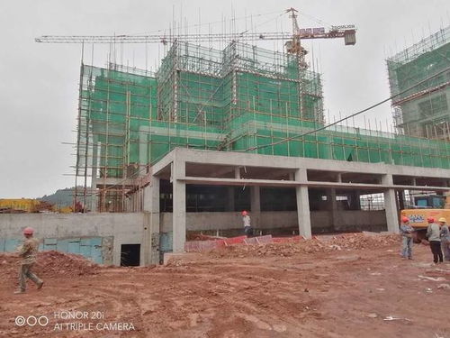 蓬安梧桐大院項(xiàng)目建設(shè)工程正緊張有序穩(wěn)步推進(jìn)